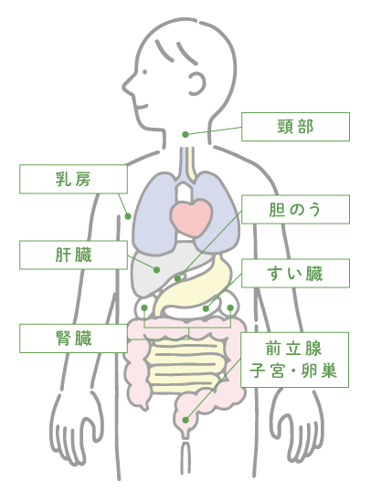 DWIBSで検査可能な部位